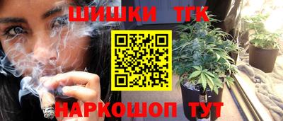 apvp Гусев