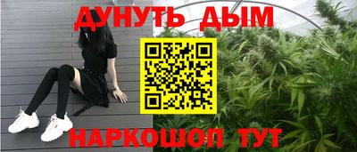 apvp Гусев
